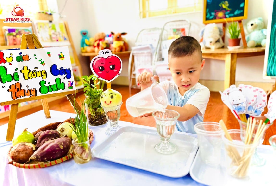 DỰ ÁN: “BÉ TRỒNG CÂY THỦY SINH” DỰ ÁN: “BÉ TRỒNG CÂY THỦY SINH” - Trường Mầm Non STEAM KIDS