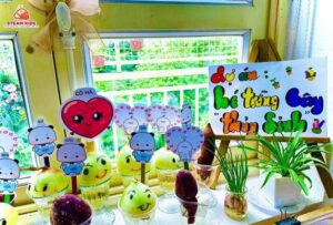 DỰ ÁN: “BÉ TRỒNG CÂY THỦY SINH” - Trường Mầm Non STEAM KIDS
