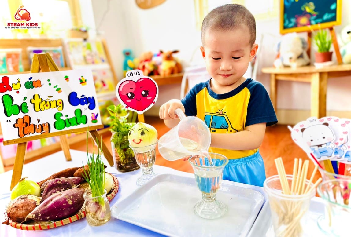DỰ ÁN: “BÉ TRỒNG CÂY THỦY SINH” DỰ ÁN: “BÉ TRỒNG CÂY THỦY SINH” - Trường Mầm Non STEAM KIDS
