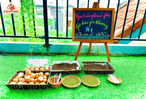 𝑮𝒊𝒆𝒐 𝒕𝒓𝒐̂̀𝒏𝒈 𝒉𝒂̣𝒏𝒉 𝒑𝒉𝒖́𝒄 - Trường Mầm Non STEAM KIDS