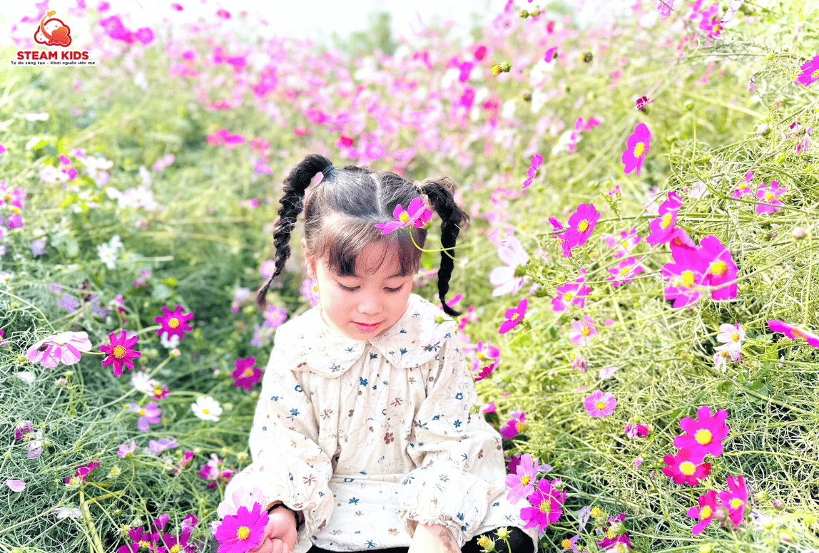 HOẠT ĐỘNG TRẢI NGHIỆM TẠI VƯỜN HOA BÃI ĐÁ SÔNG HỒNG - Trường Mầm Non STEAM KIDS