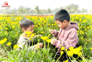 HOẠT ĐỘNG TRẢI NGHIỆM TẠI VƯỜN HOA BÃI ĐÁ SÔNG HỒNG - Trường Mầm Non STEAM KIDS