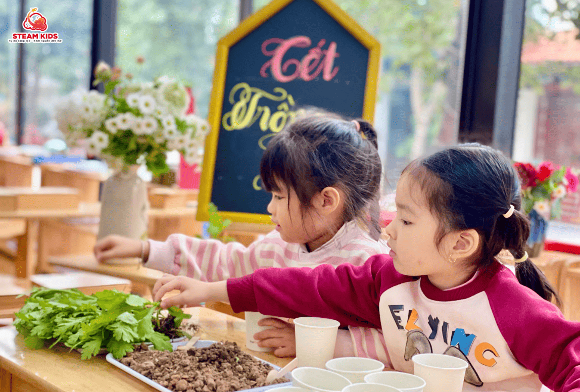 TRẢI NGHIỆM TRỒNG CÂY MÙA XUÂN CÙNG STEAM 16 - Trường Mầm Non STEAM KIDS