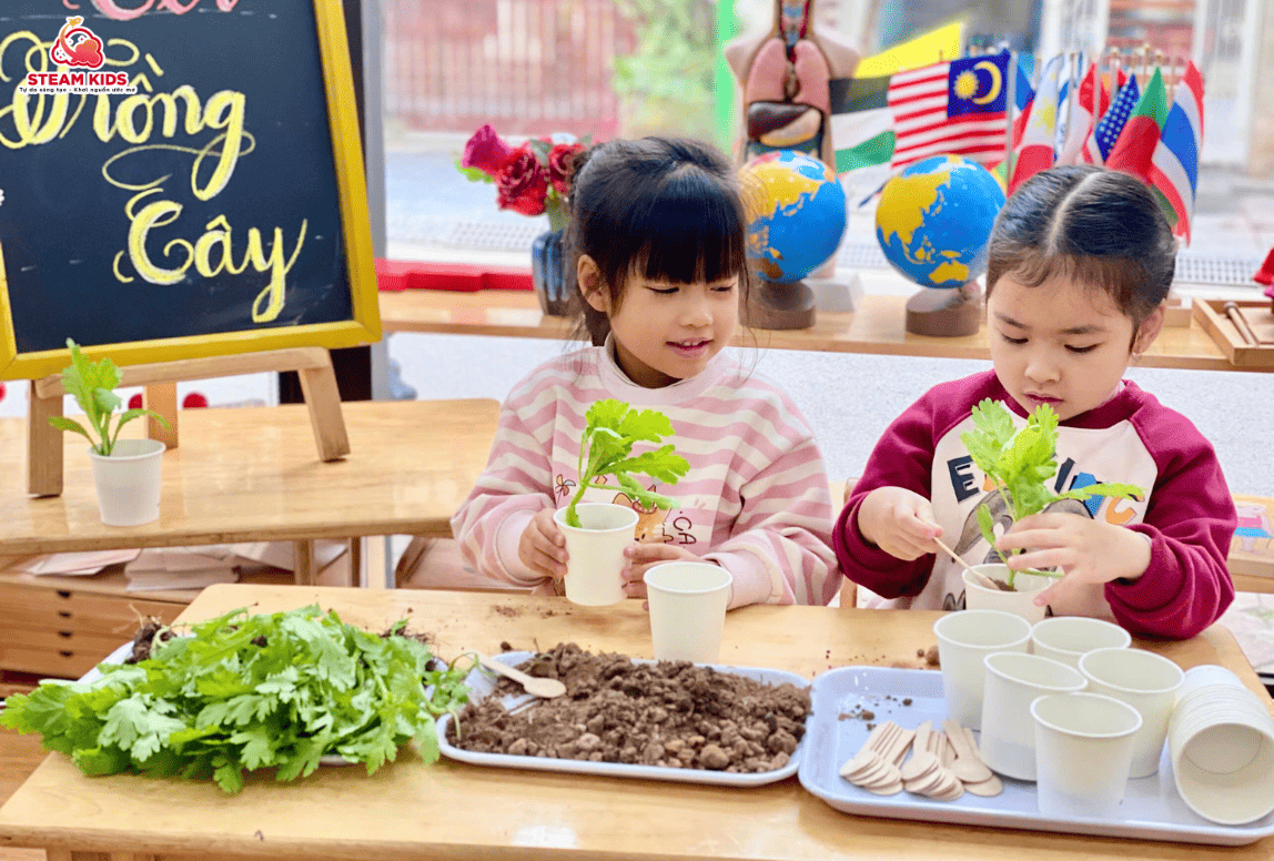 TRẢI NGHIỆM TRỒNG CÂY MÙA XUÂN CÙNG STEAM 16 - Trường Mầm Non STEAM KIDS