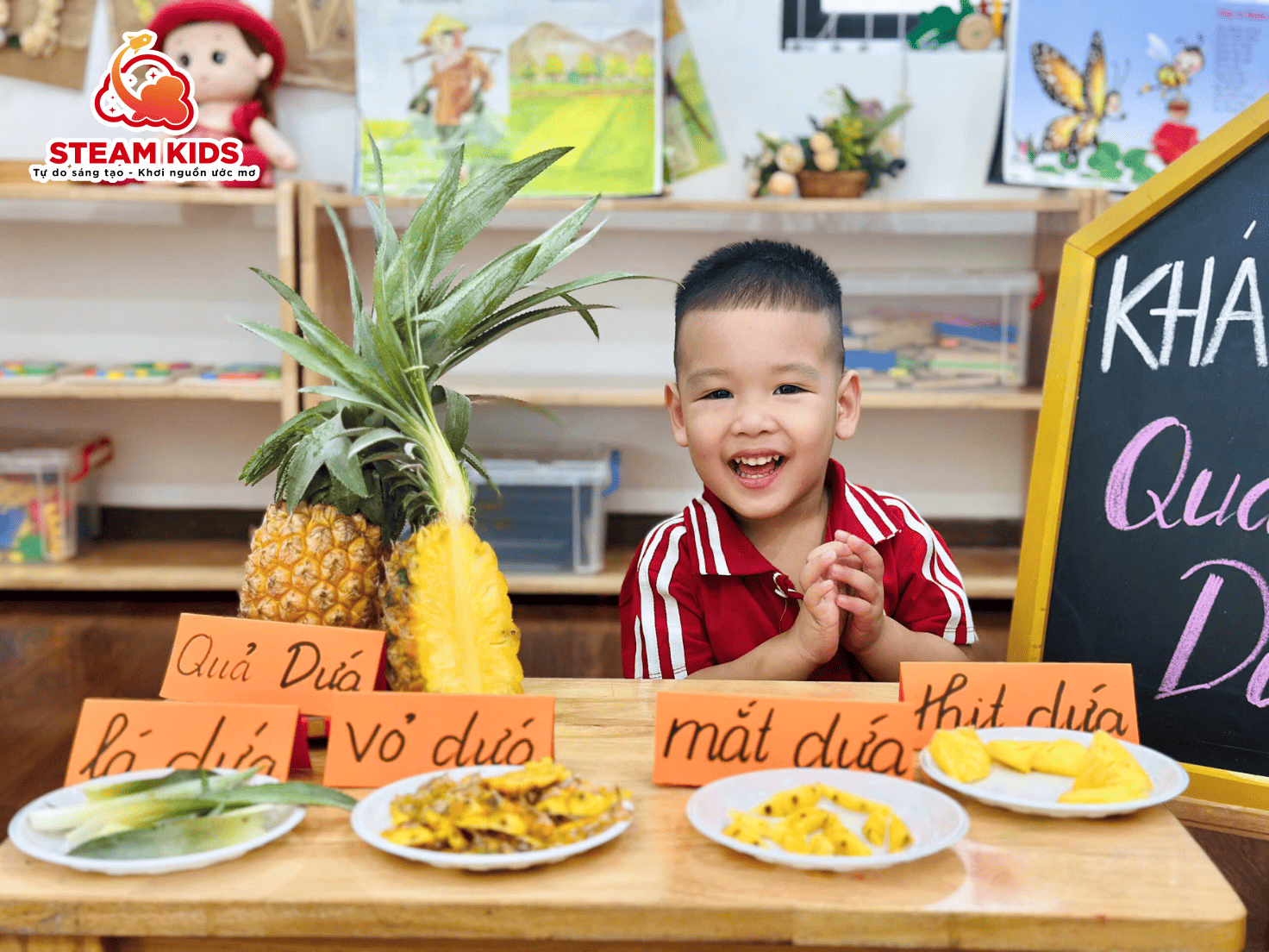 KHÁM PHÁ QUẢ DỨA – HỌC MÀ VUI, VUI MÀ HỌC - Trường Mầm Non STEAM KIDS
