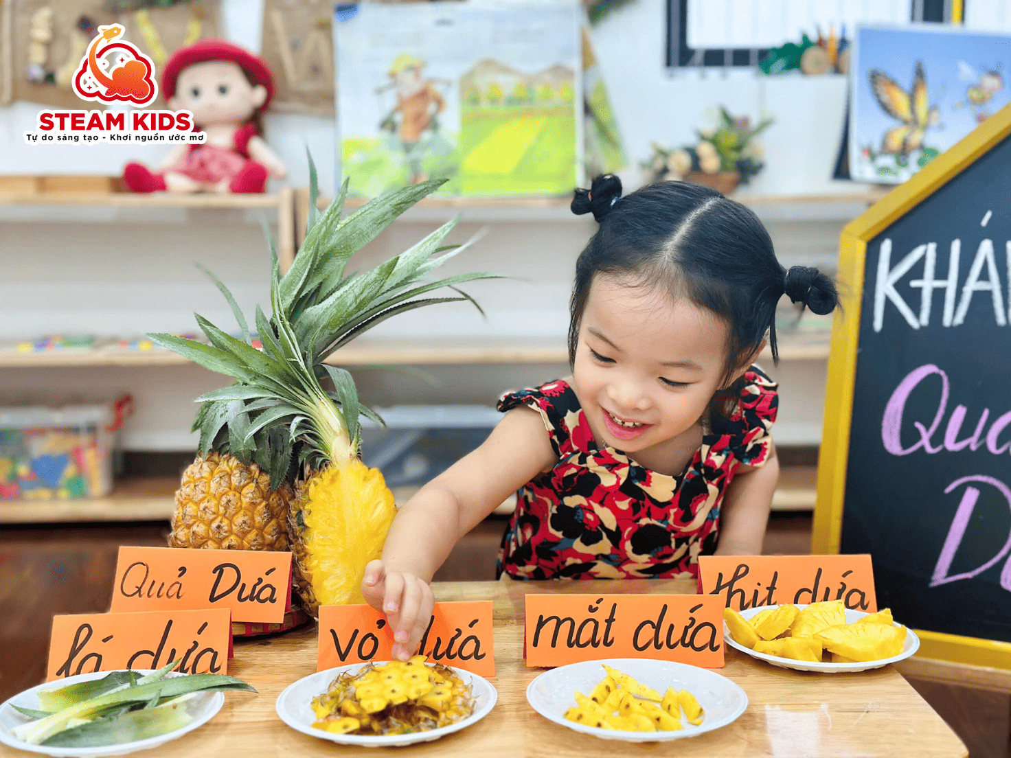 KHÁM PHÁ QUẢ DỨA – HỌC MÀ VUI, VUI MÀ HỌC KHÁM PHÁ QUẢ DỨA – HỌC MÀ VUI, VUI MÀ HỌC - Trường Mầm Non STEAM KIDS