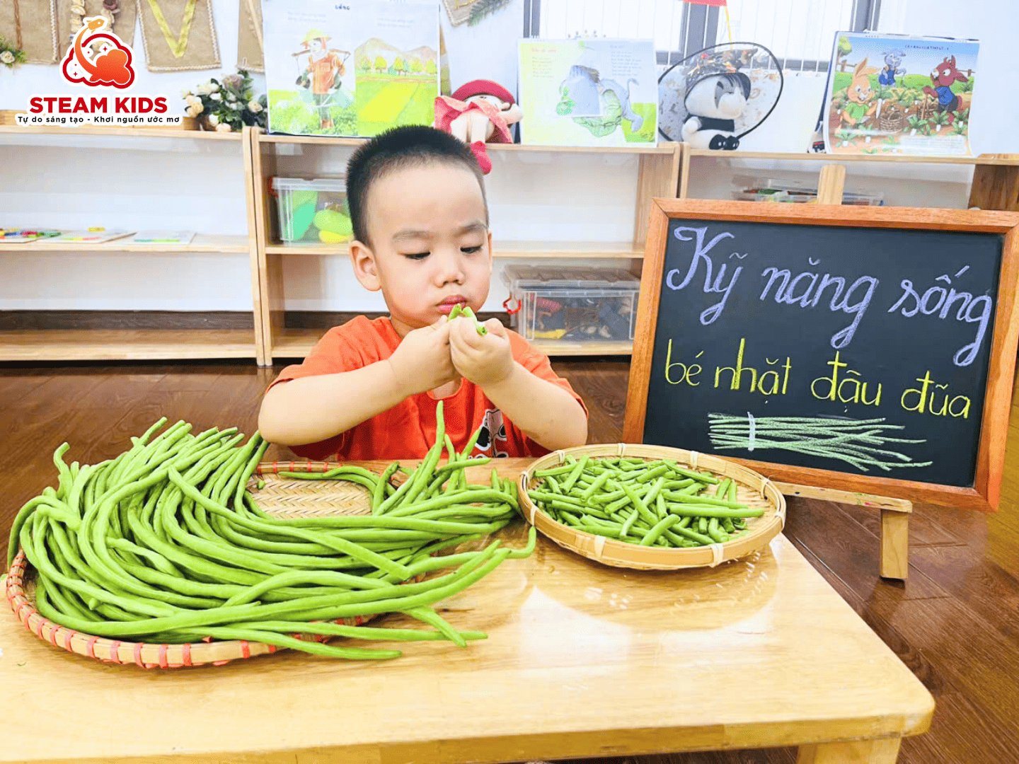 BÉ TẬP LÀM VIỆC NHÀ – NHẶT ĐẬU ĐŨA CÙNG CÁC BẠN NHỎ LỚP STEAM 12 - Trường Mầm Non STEAM KIDS