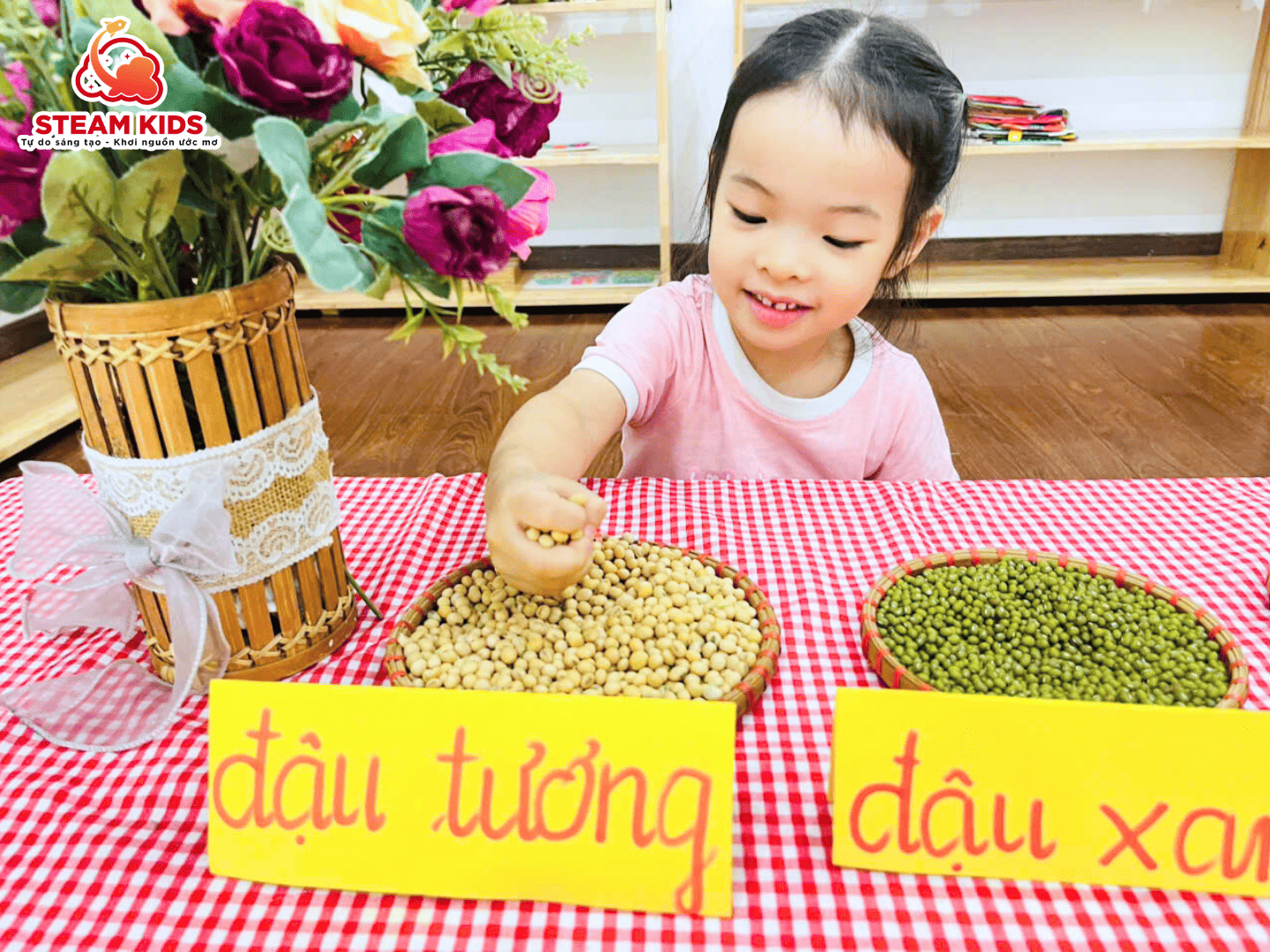 TIẾT HỌC KỸ NĂNG SỐNG: NHẬN BIẾT CÁC LOẠI HẠT ĐẬU - Trường Mầm Non STEAM KIDS