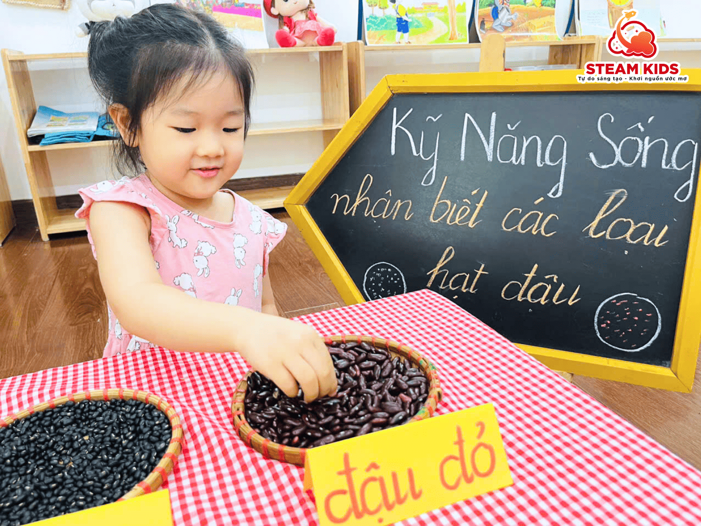 TIẾT HỌC KỸ NĂNG SỐNG: NHẬN BIẾT CÁC LOẠI HẠT ĐẬU - Trường Mầm Non STEAM KIDS