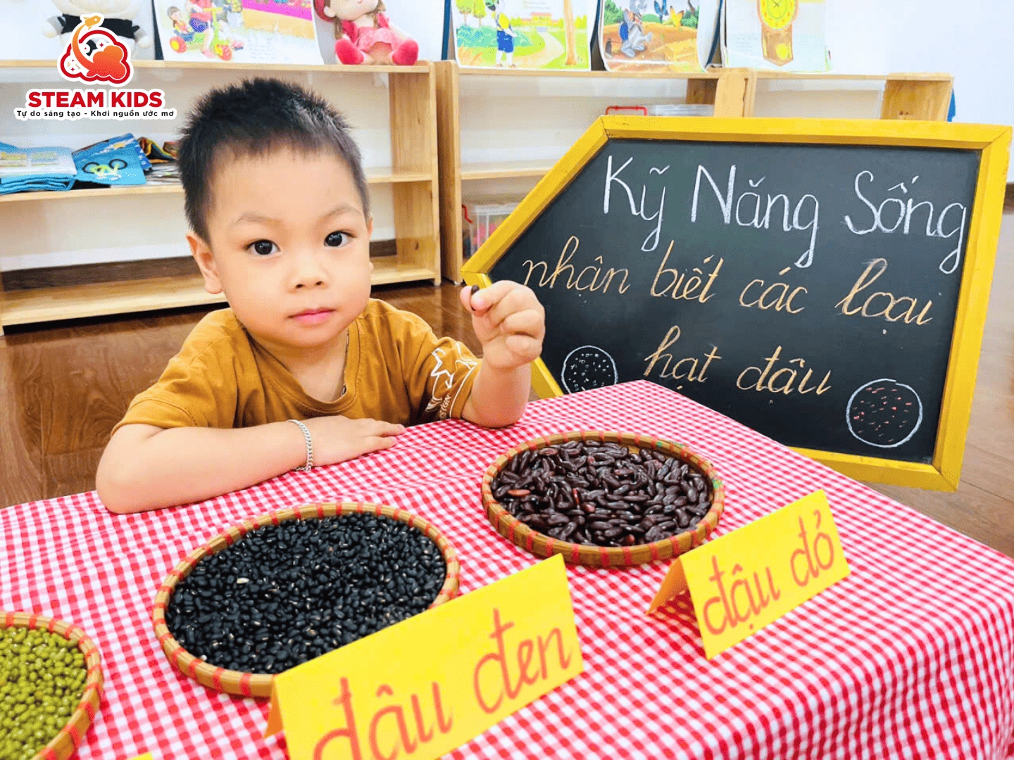 TIẾT HỌC KỸ NĂNG SỐNG: NHẬN BIẾT CÁC LOẠI HẠT ĐẬU - Trường Mầm Non STEAM KIDS