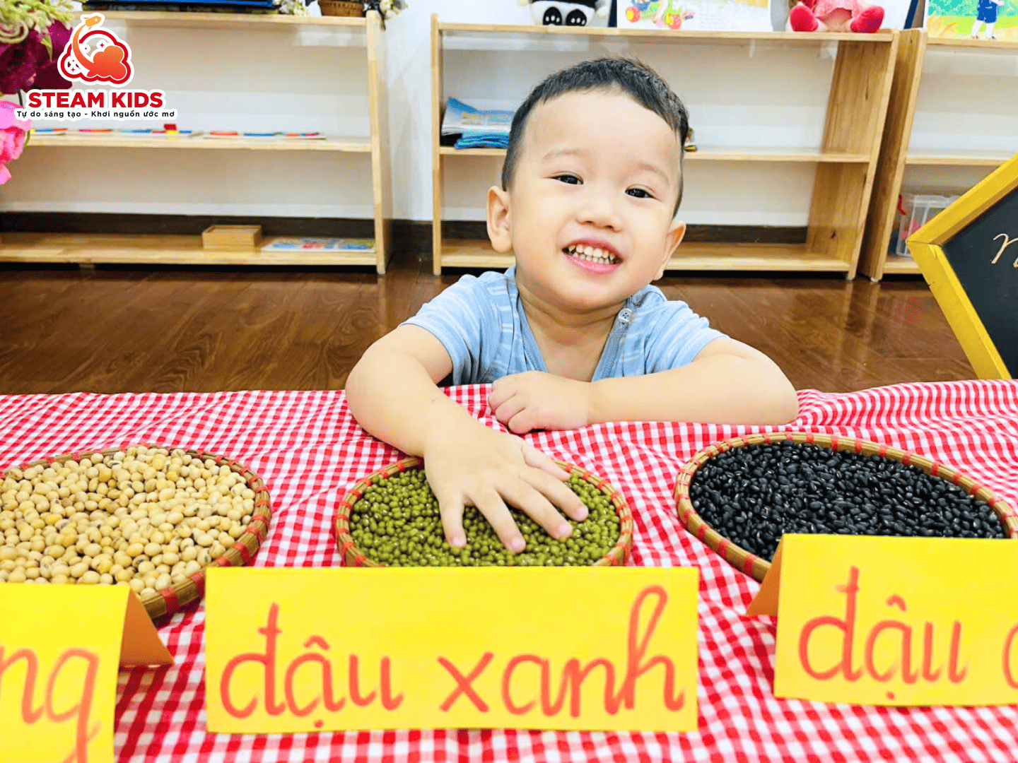 TIẾT HỌC KỸ NĂNG SỐNG: NHẬN BIẾT CÁC LOẠI HẠT ĐẬU - Trường Mầm Non STEAM KIDS