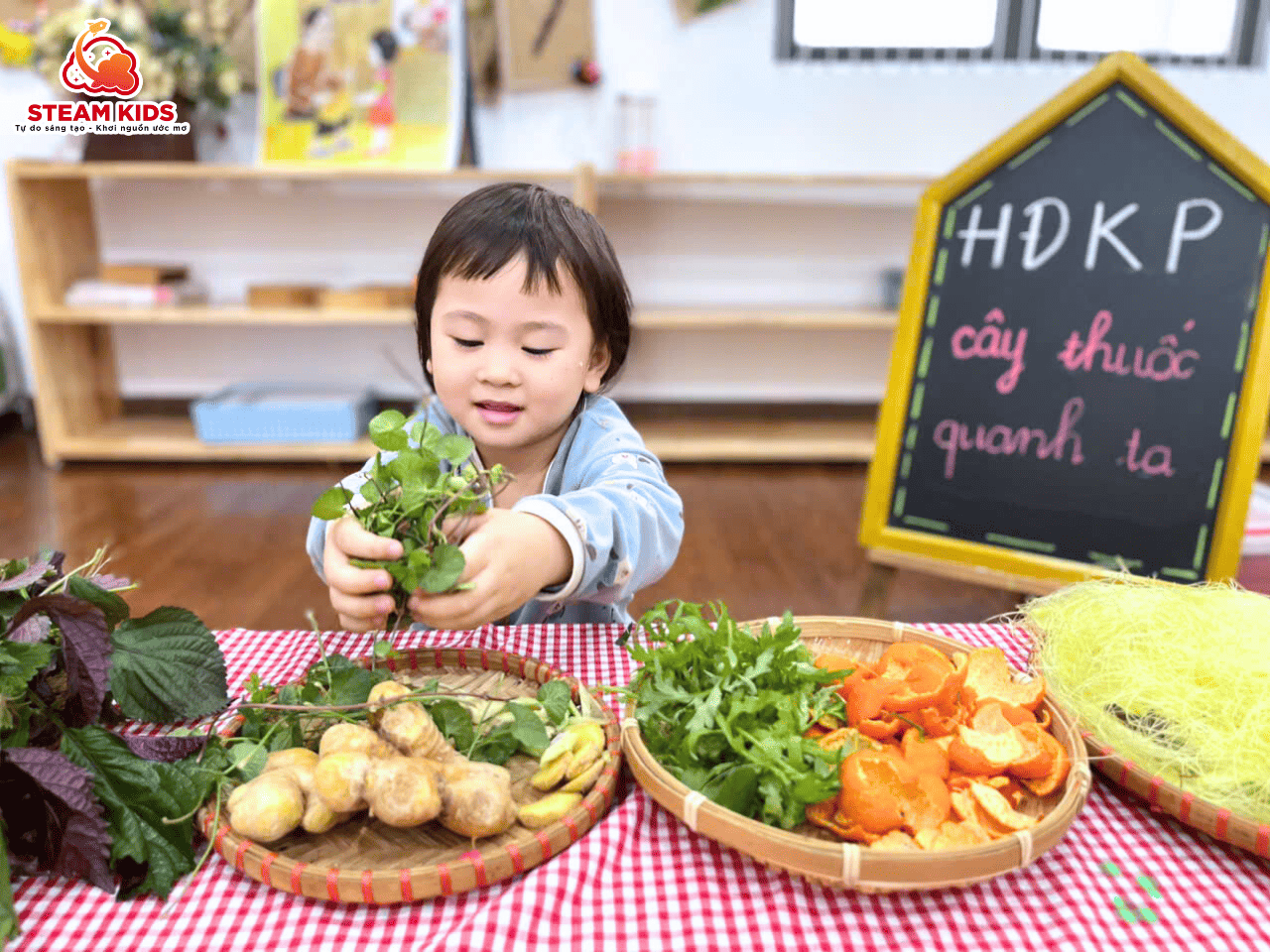 HOẠT ĐỘNG KHÁM PHÁ: “CÂY THUỐC QUANH TA” - Trường Mầm Non STEAM KIDS